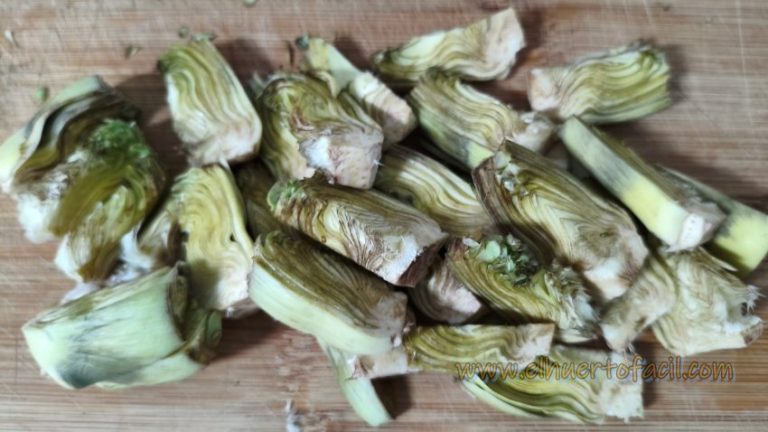 los pelos de la alcachofa